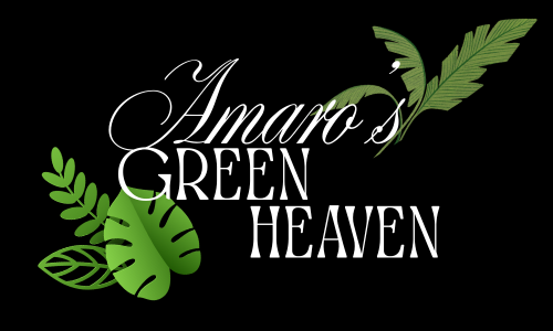 amarosgreenhaven.com.au